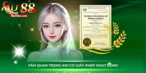 Tìm hiểu tầm quan trọng của giấy phép hoạt động Mu88