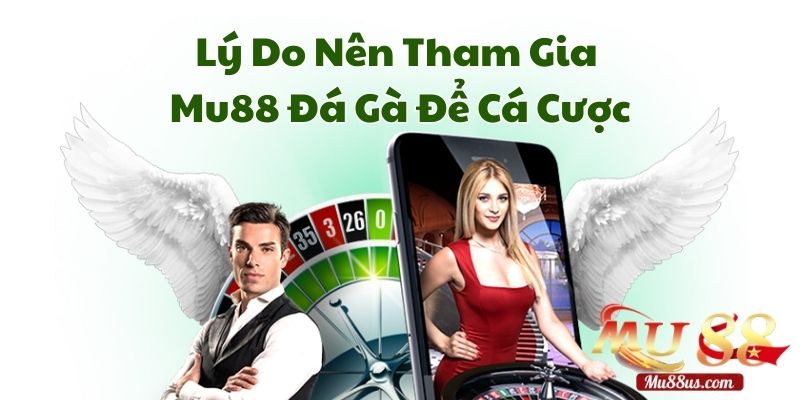 Lý Do Nên Tham Gia Mu88 Đá Gà Để Cá Cược