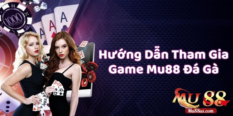 Hướng Dẫn Tham Gia Chơi Đá Gà Tại Mu88 Cho Người Mới