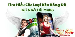 Tìm Hiểu Các Loại Kèo Bóng Đá Tại Nhà Cái Mu88