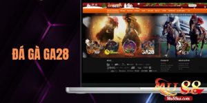 Tham gia đá gà trực tuyến tại sảnh Đá Gà GA28 của nhà cái Mu88