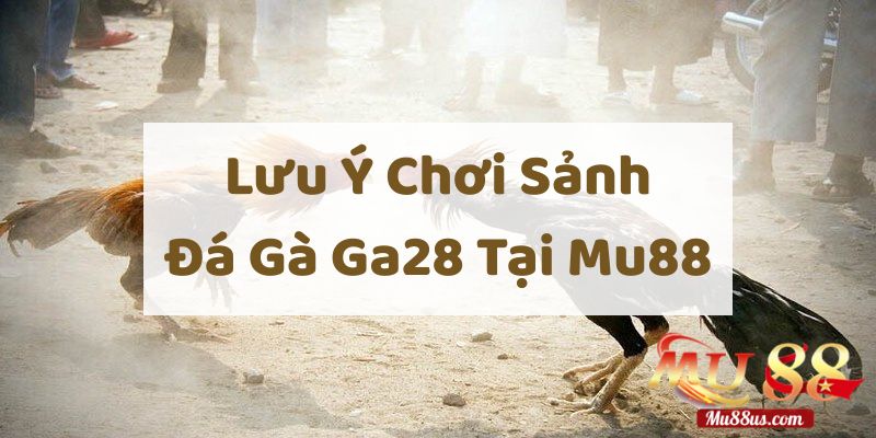 Một Số Lưu Ý Khi Chơi Sảnh Đá Gà Ga28 Tại Mu88