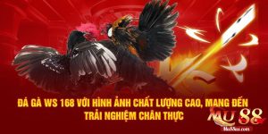 Những Ưu Điểm Hấp Dẫn Của Sảnh Đá Gà Ws168